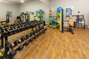 Two Bedroom Apartments for Rent in Conroe, TX - Fitness Center (3)         